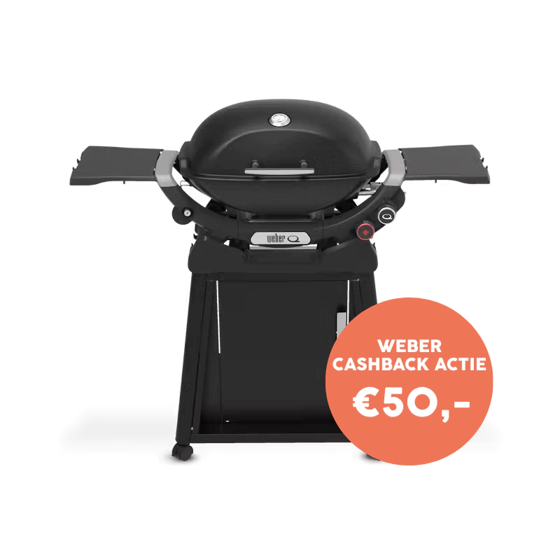 Weber Q 2800N+ Met Onderstel