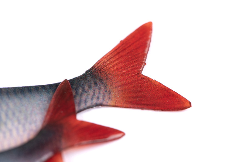 Fox rage Natural Roach Fillet 8cm