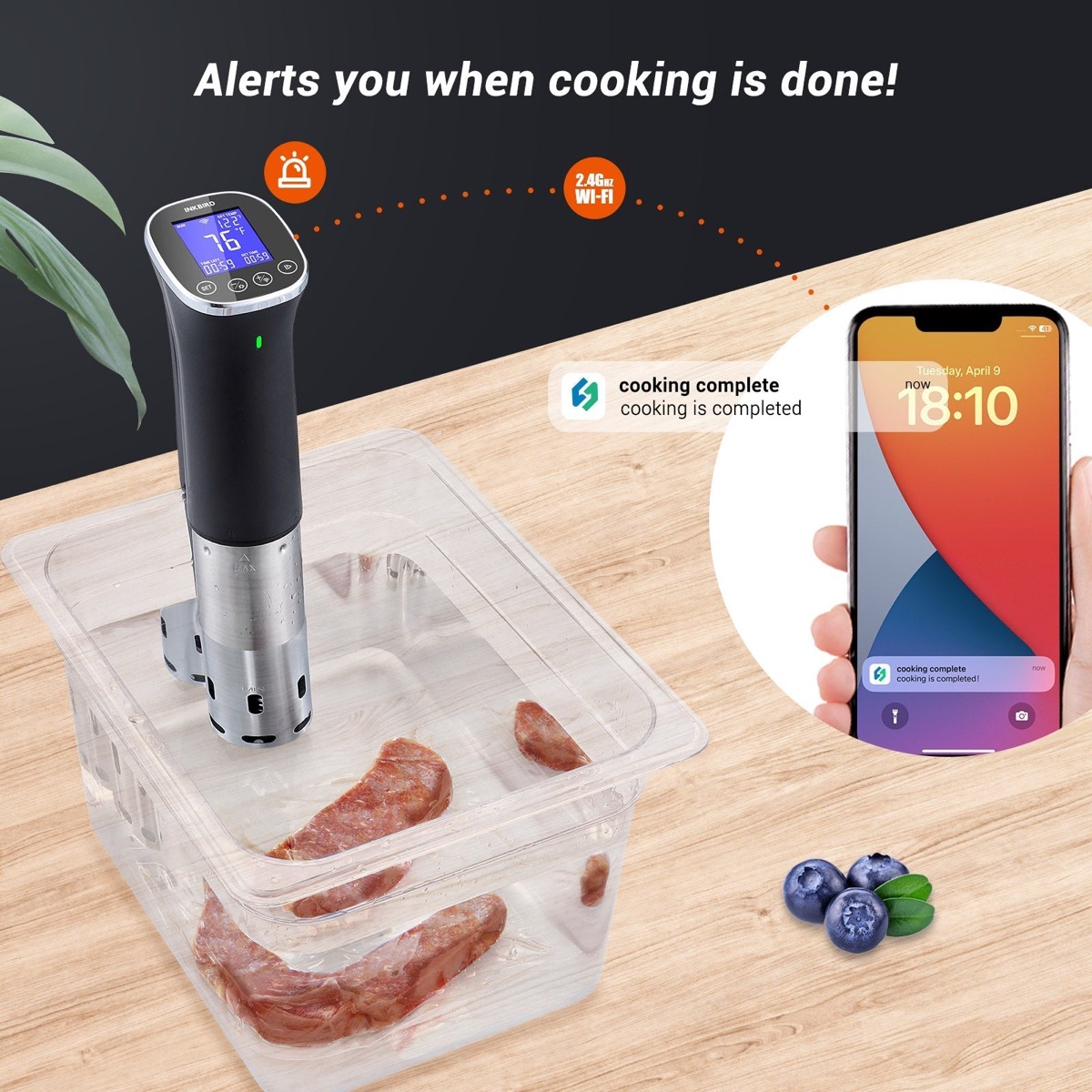 Inkbird Wi-Fi Sous Vide Cooker Isv-300W Eu Plug 220V