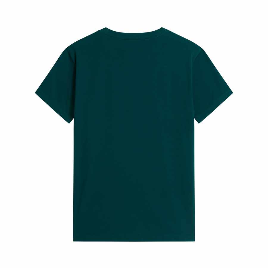 The North Face Evo Sd Reg SS Tee Heren