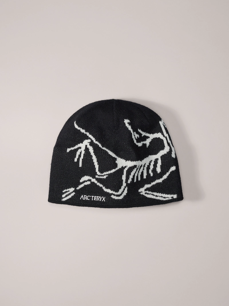 Arc'teryx Bird Head Toque