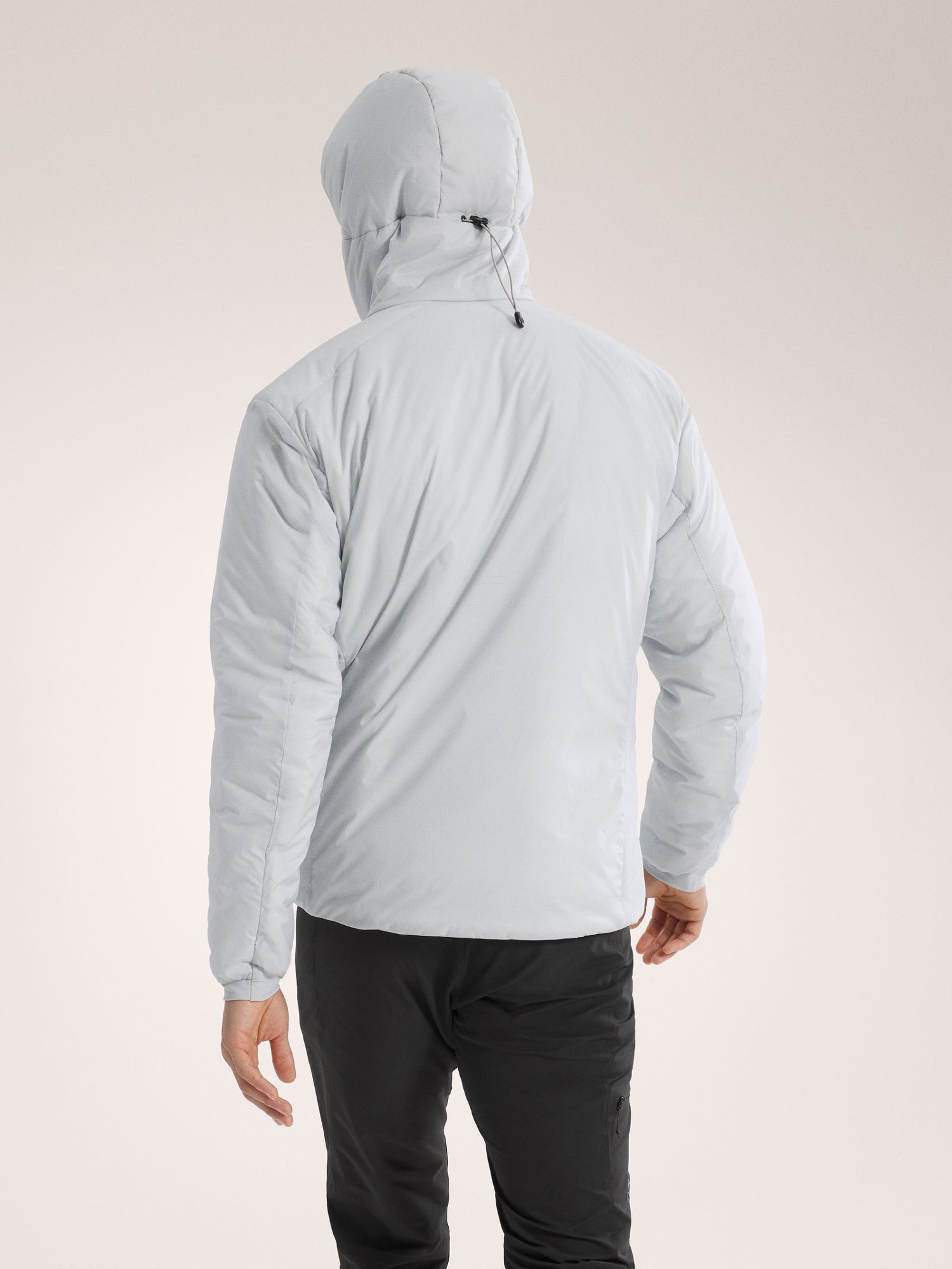 Arc'teryx Atom Hoody Heren