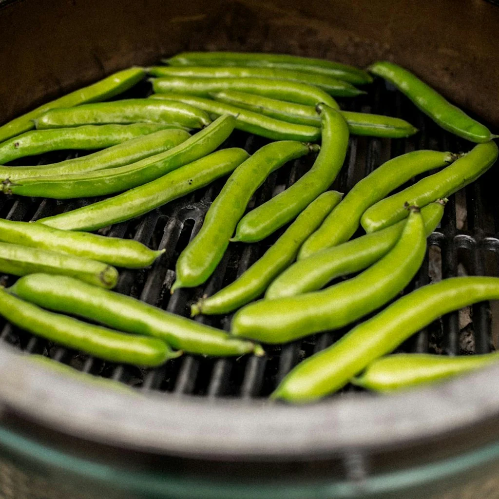 Big Green Egg Cast Iron Grid Medium