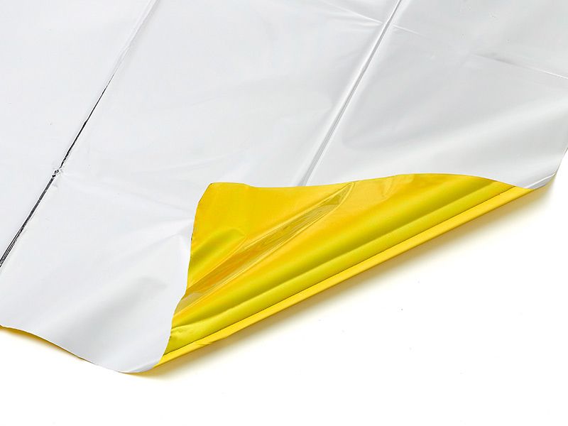 ProPlus Nooddeken 2 Stuks 160X210Cm