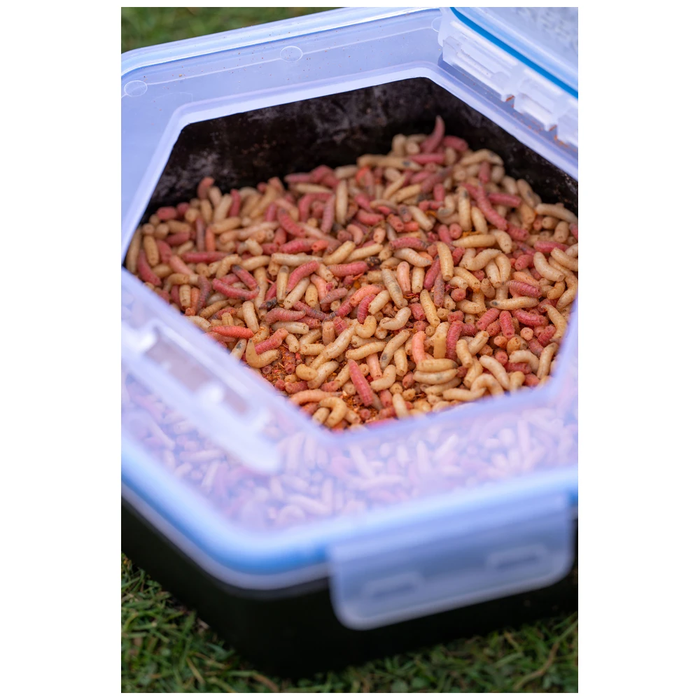 Zebco Secure-Lock Bait Box 1.5L