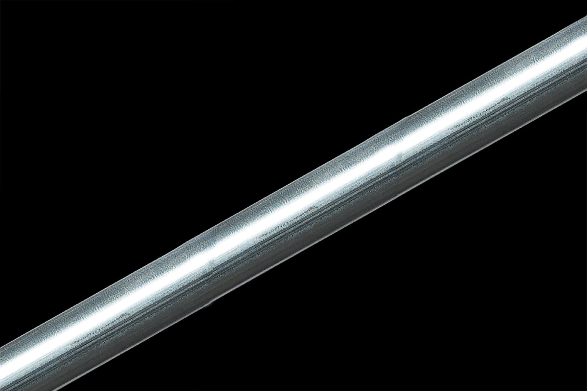 Isabella Zinox Frame 300 Standard C2 19/20 T-Rex