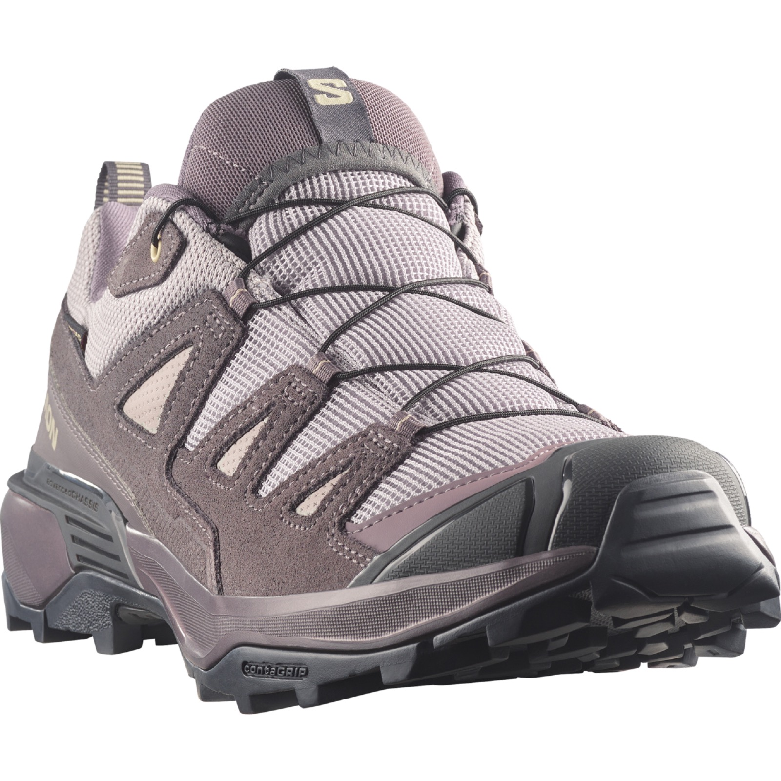 Salomon X Ultra 360 ltr GTX Heren