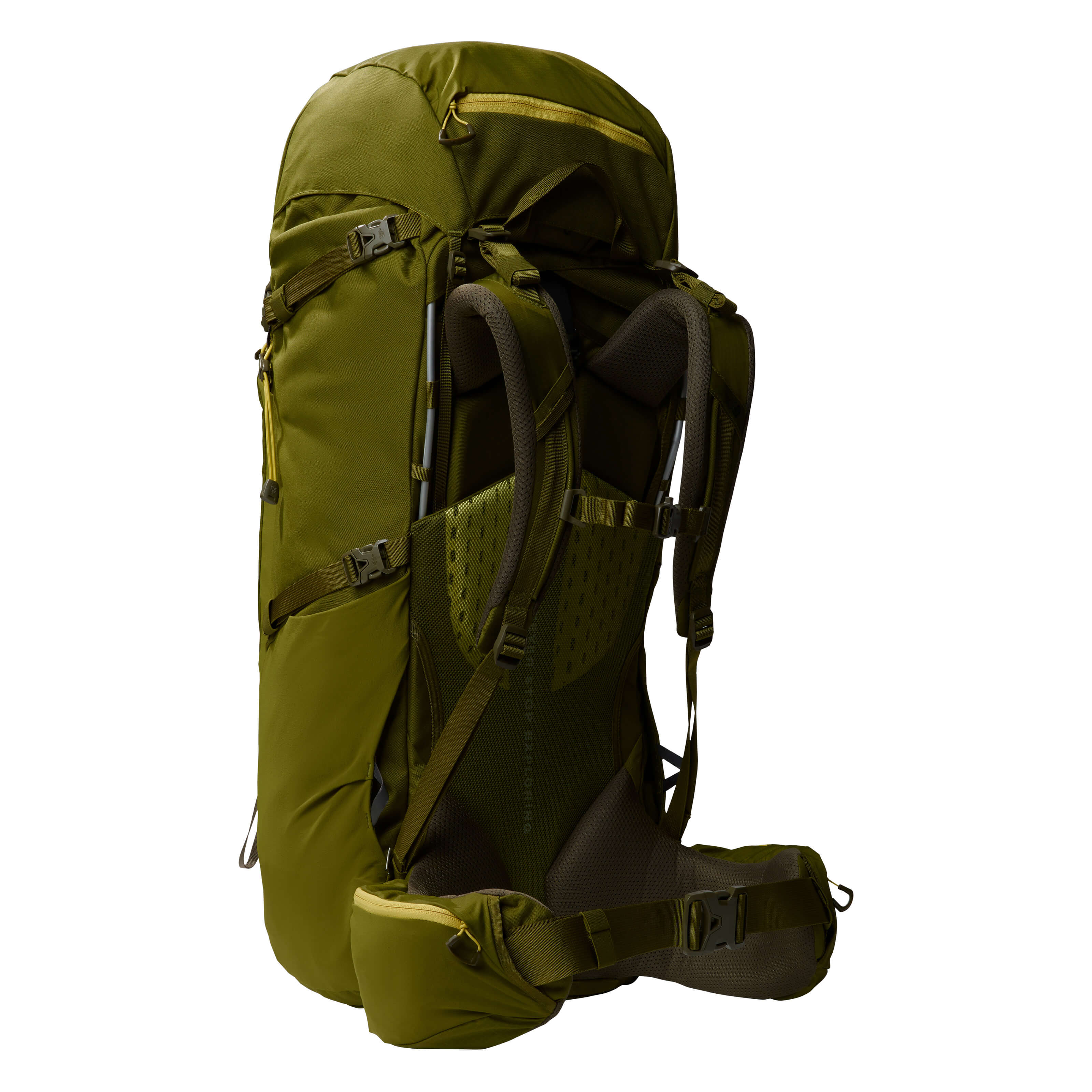 The North Face Backpack Terra 65