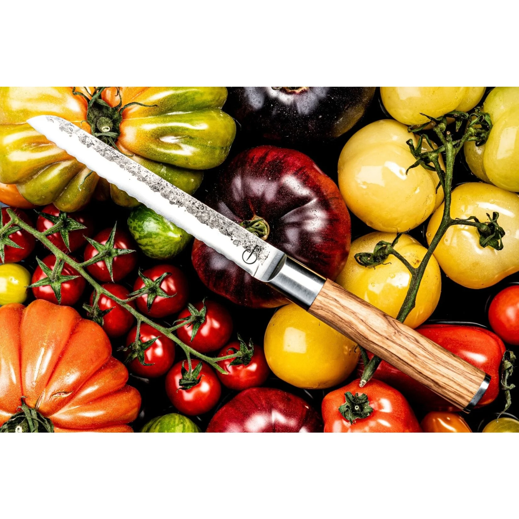 Forged Olive Universeel mes - 14Cm - Gekarteld