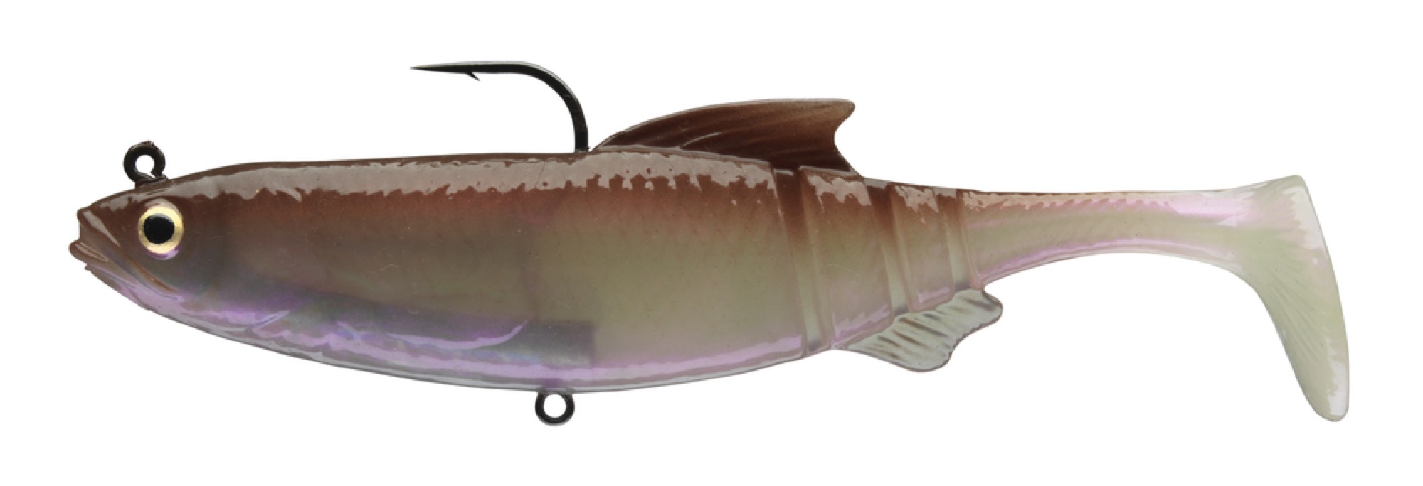 Daiwa Prorex Lazy Roach Rd Wa 56gr