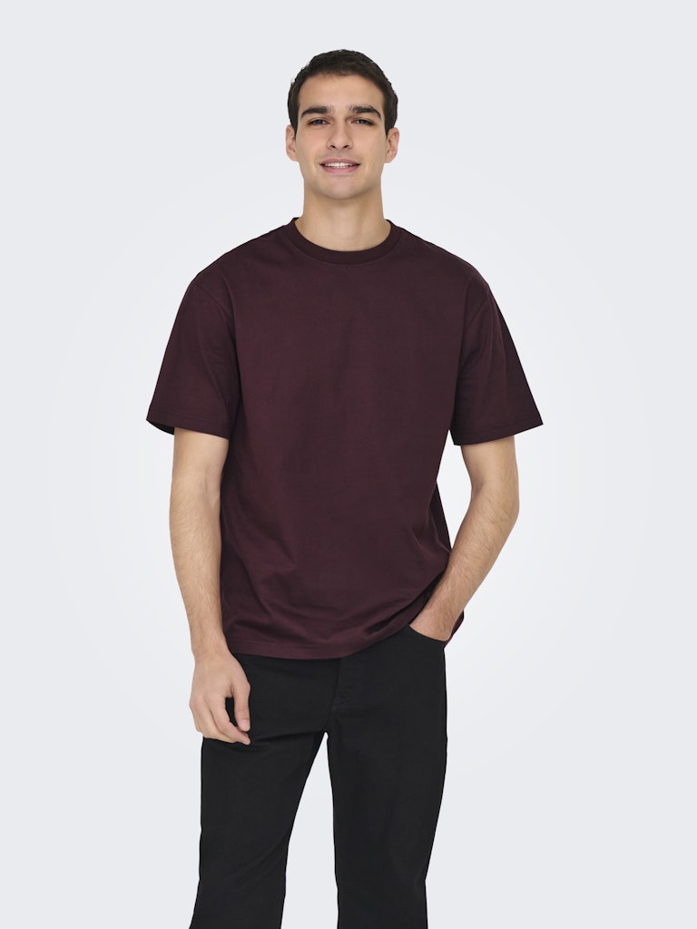 Only & Sons Fred Life Rlx SS Tee Heren