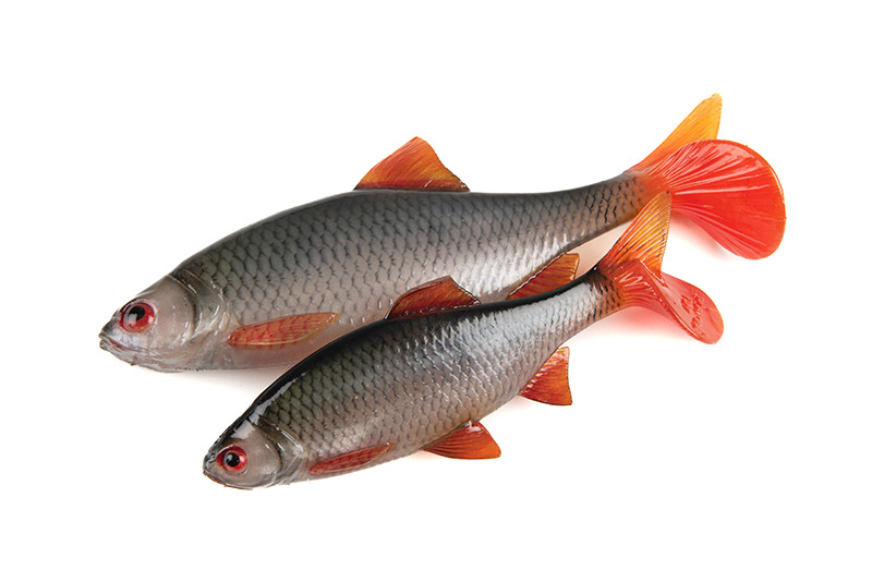 Fox rage Ultra Natural Roach 14cm