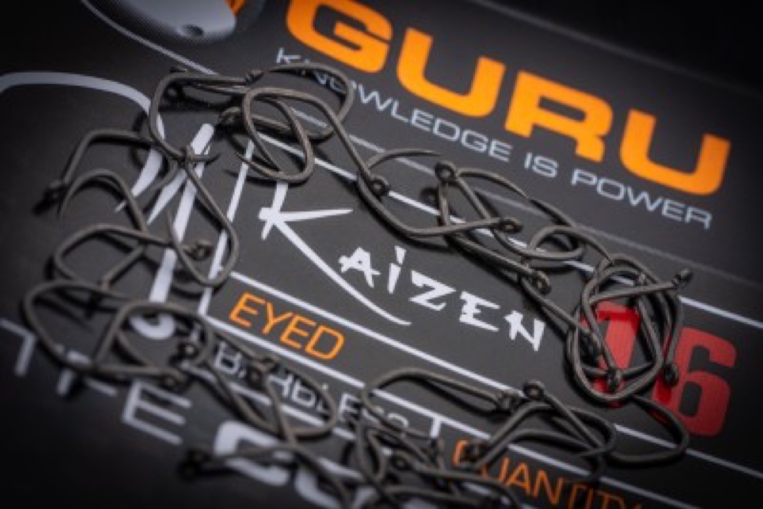 Guru Kaizen