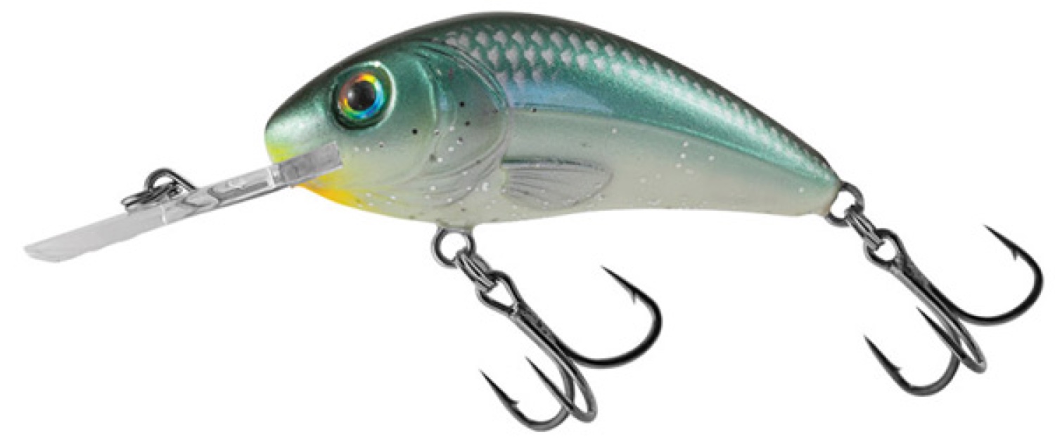 Salmo Rattlin Hornet Flo 5 5Cm