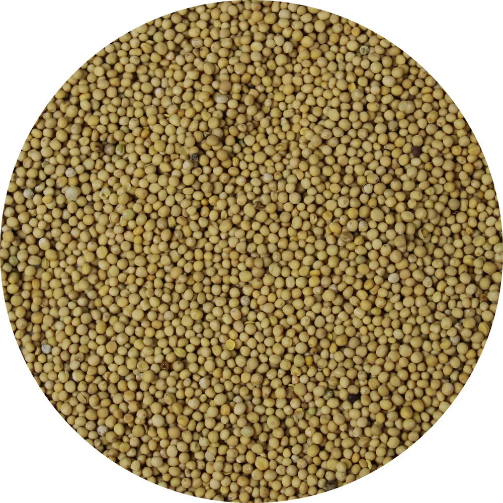 Van Beekum Mosterdzaad Geel Heel 230 Gr