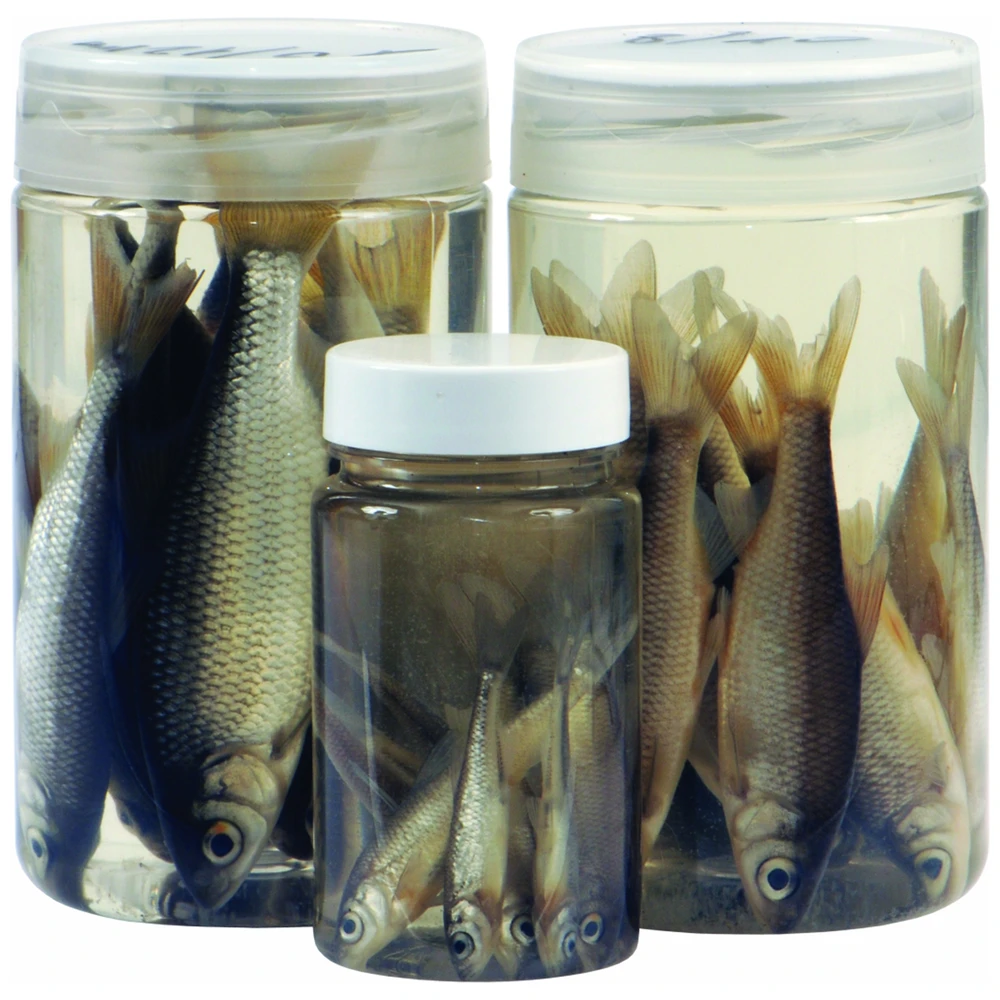 Albatros Doodaas Inpo Voorn 10/12Cm