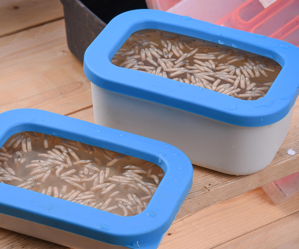 Cresta Baitbox White Open Lid 0.6Lt