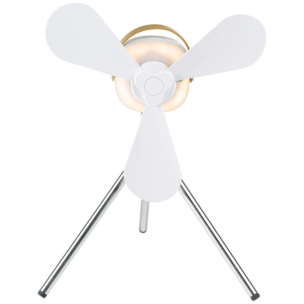 Fan Table 12Cm Usb 2000Mah