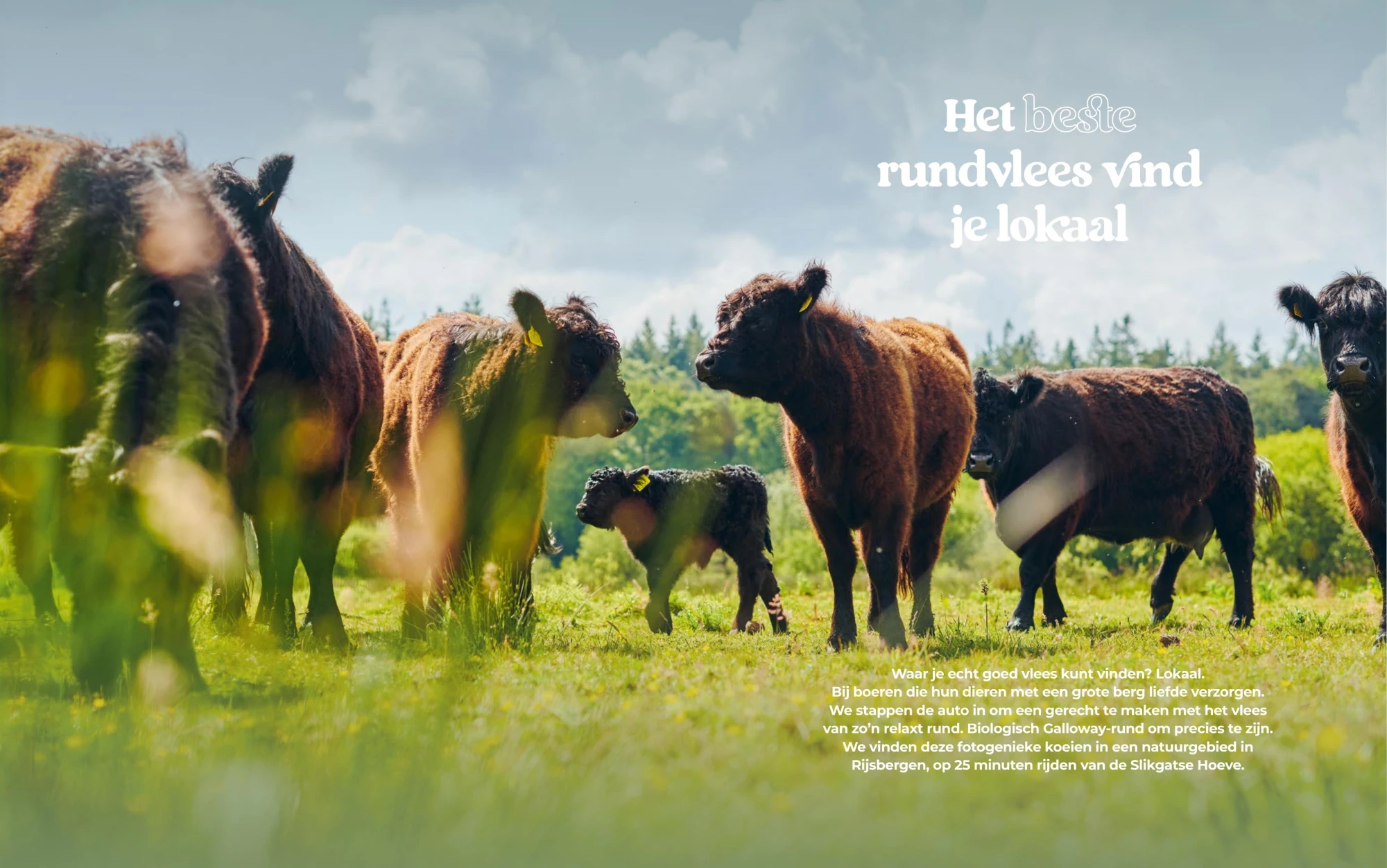 Smokin' Flavours Gezonder Bbq'EN