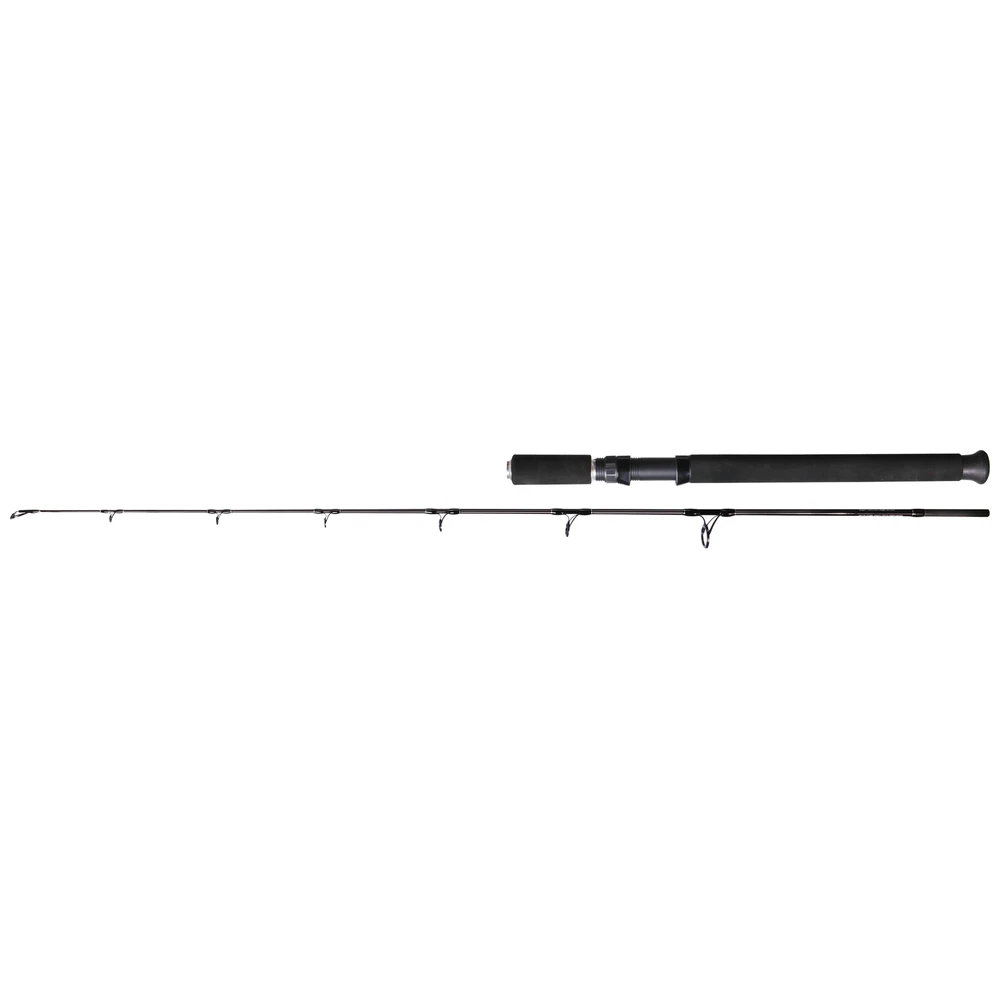 Albatros Shad & Jig 180Cm 80-220G