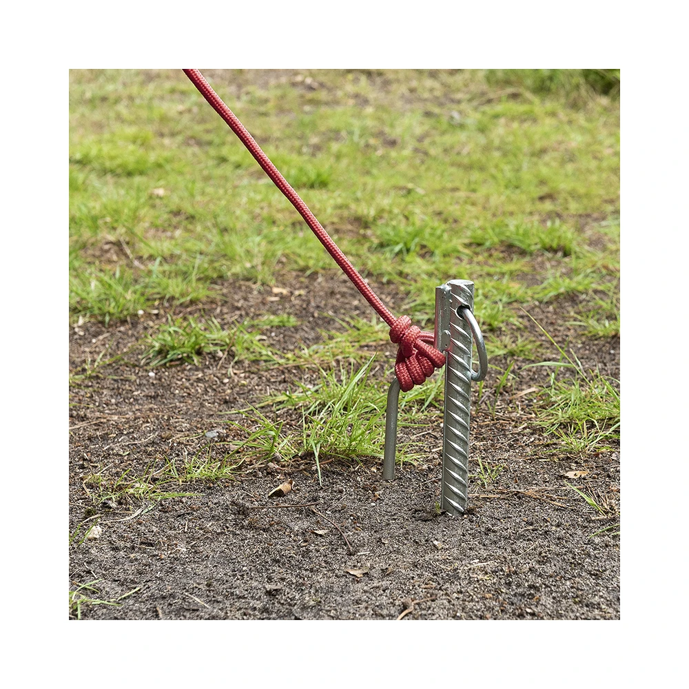 ProPlus Grondpen 41Cm √ò18Mm Met Haak EN Ring