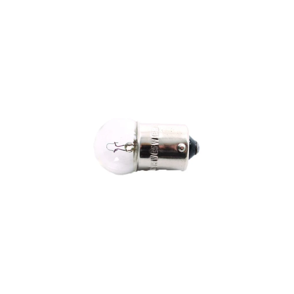 Fjord Outdoor Gloeilamp 12V - 10W A 2St