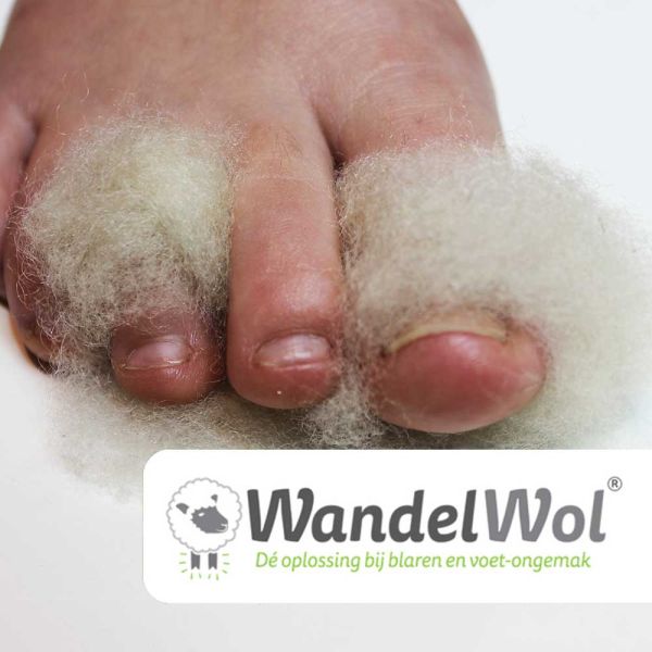 Wandelwol Antidruk-Wol 10 Gram