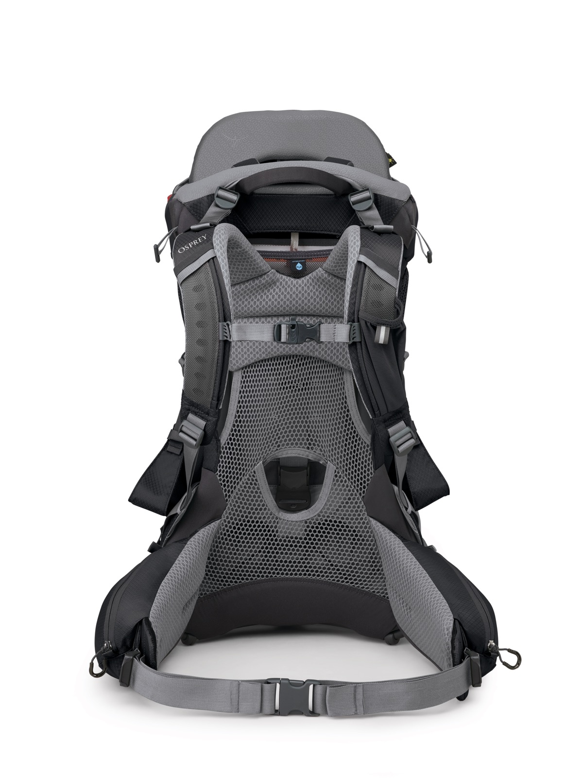 Osprey Poco