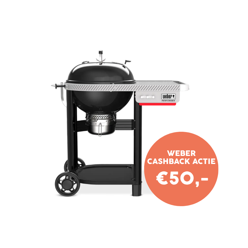 Weber Performer