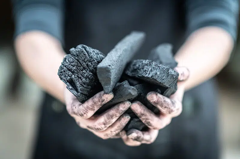 Big Green Egg Charcoal 4,5 Kg