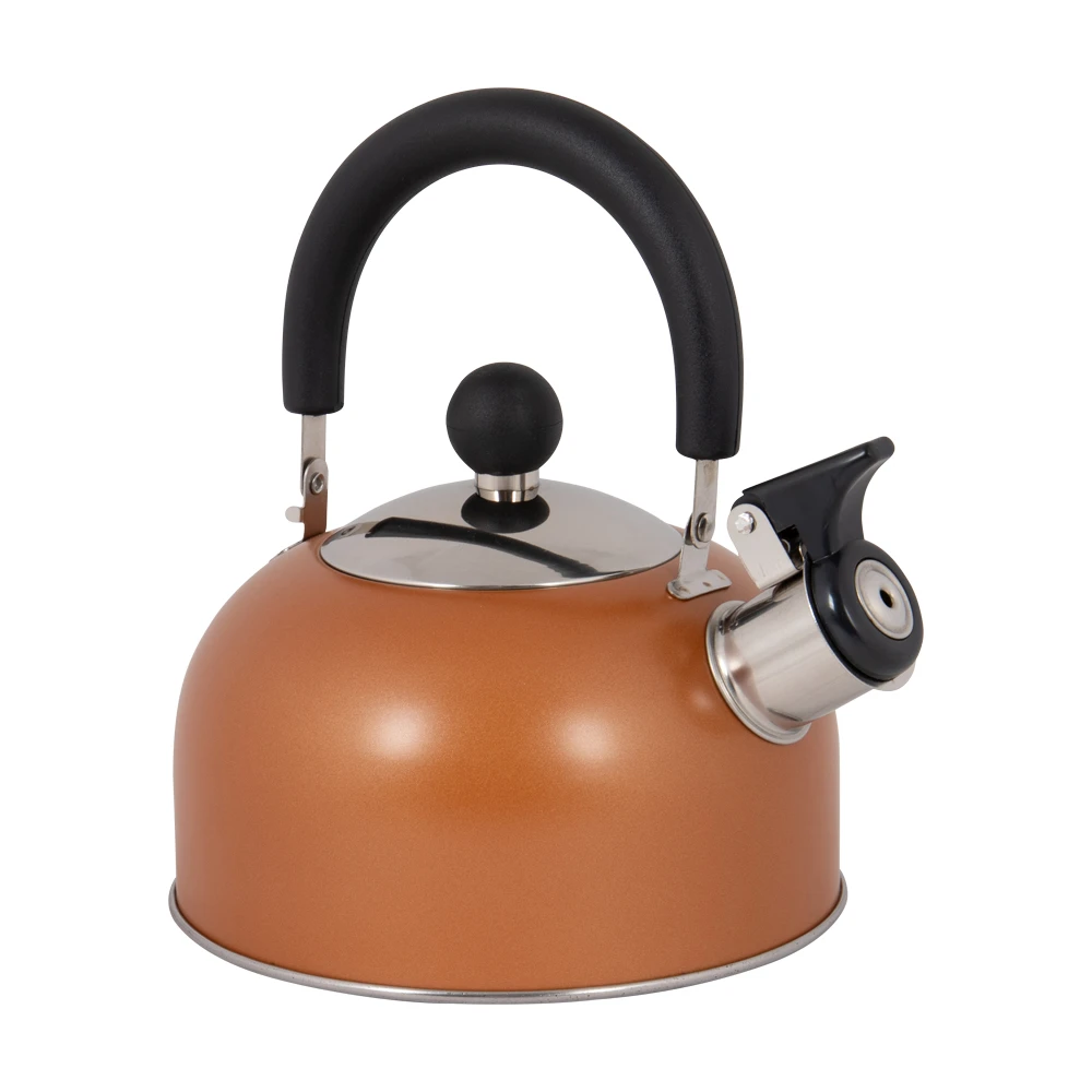 Bo-Camp Ind Fluitketel Rhoda 1,2 Liter