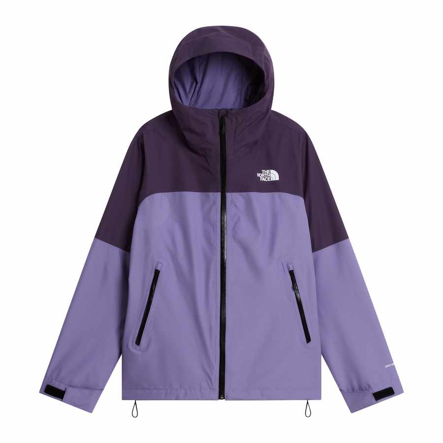 The North Face Dryvent Zip-In Jacket Dames