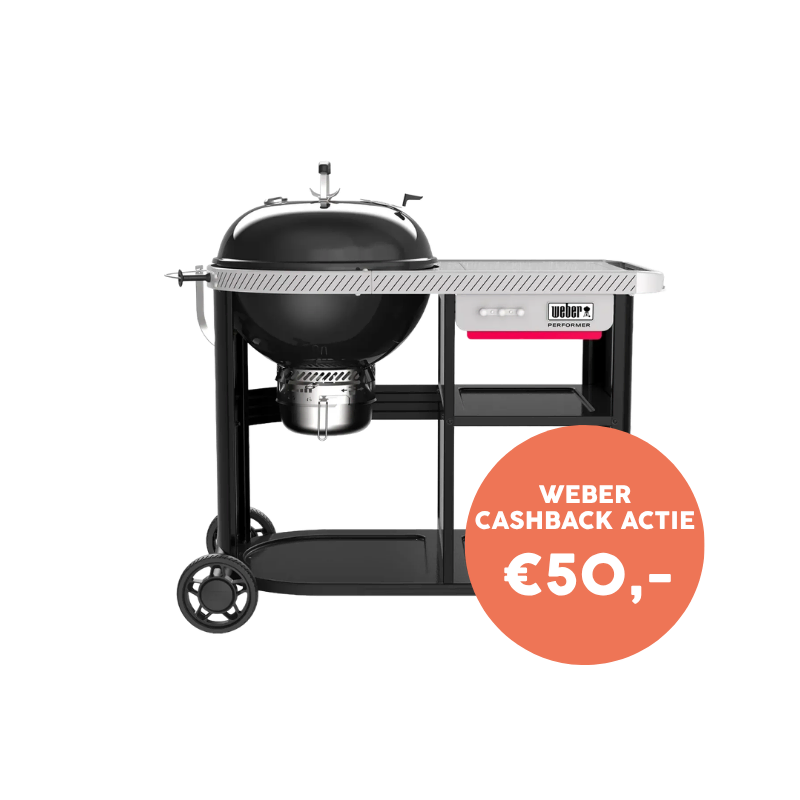 Weber Performer Premium