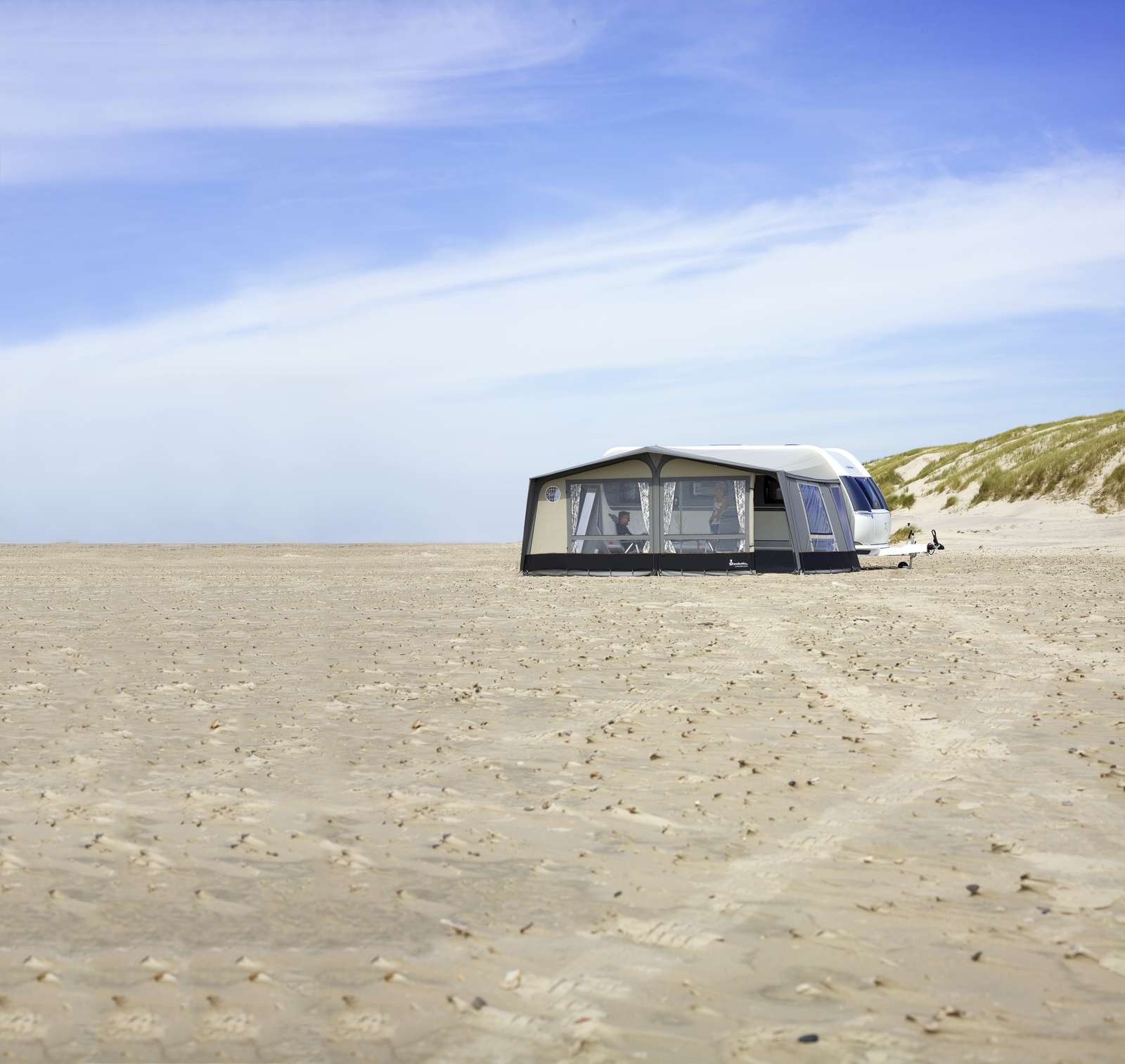 Isabella Commodore Dawn Zinox