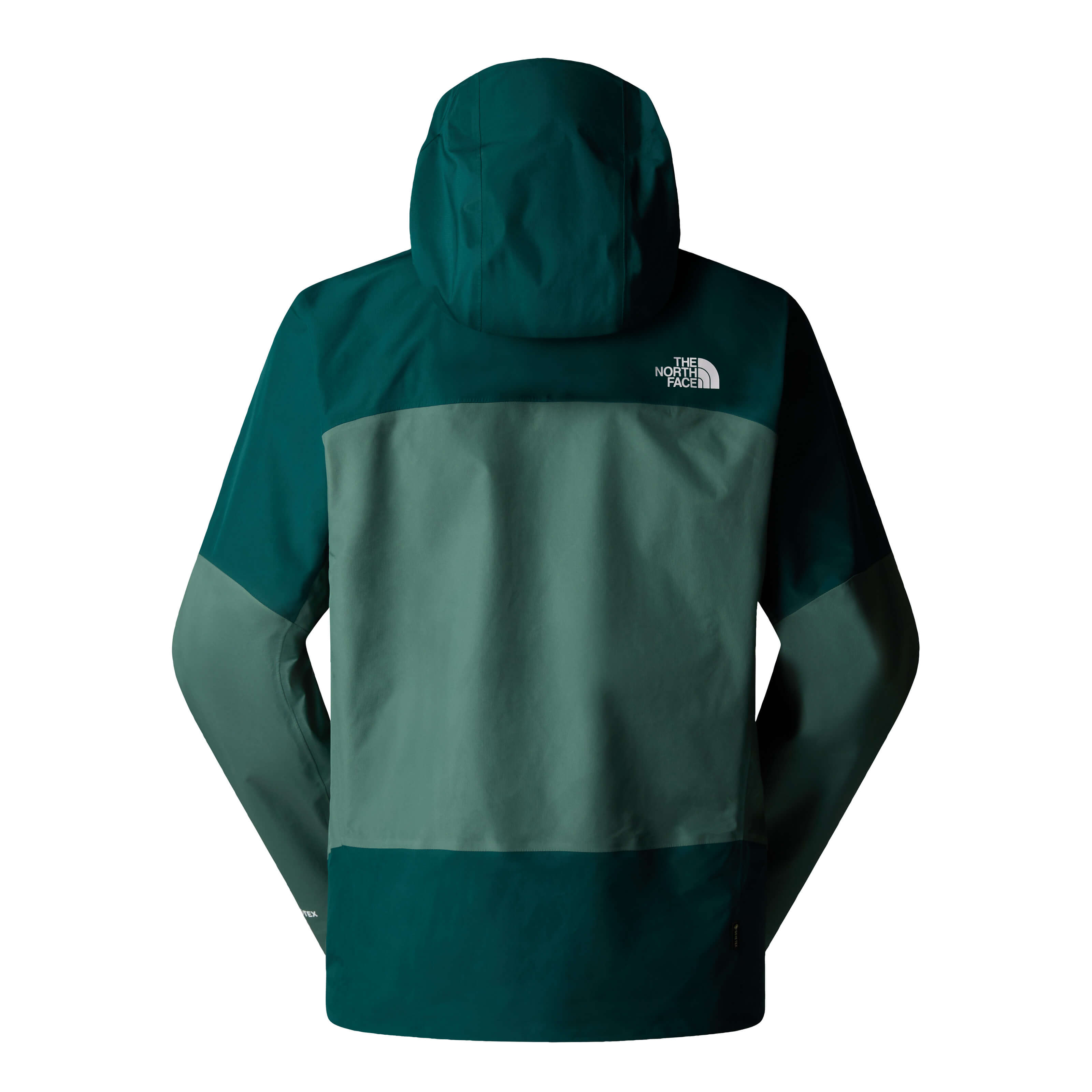 The North Face Jazzi 3L Gtx Jacket Heren 