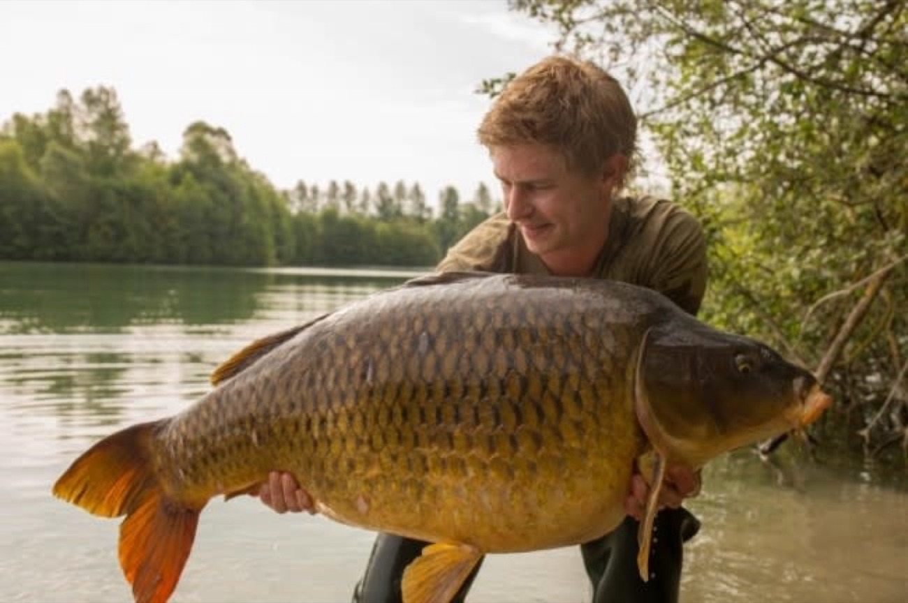 Korda Snag Line - 0,55Mm / 50Lb / 100M