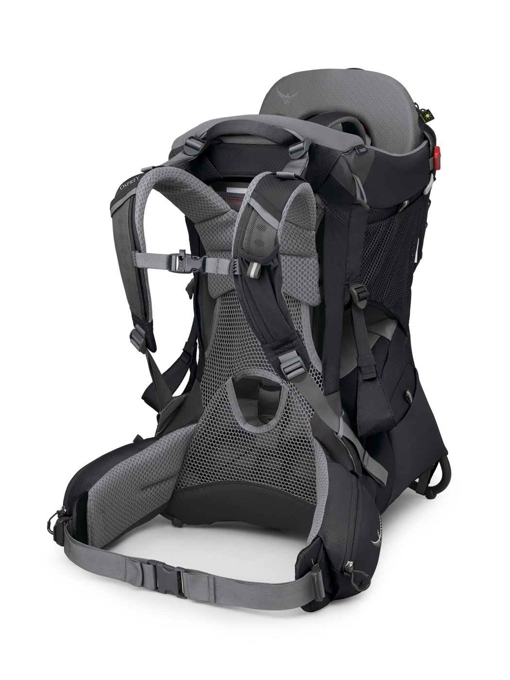 Osprey Poco