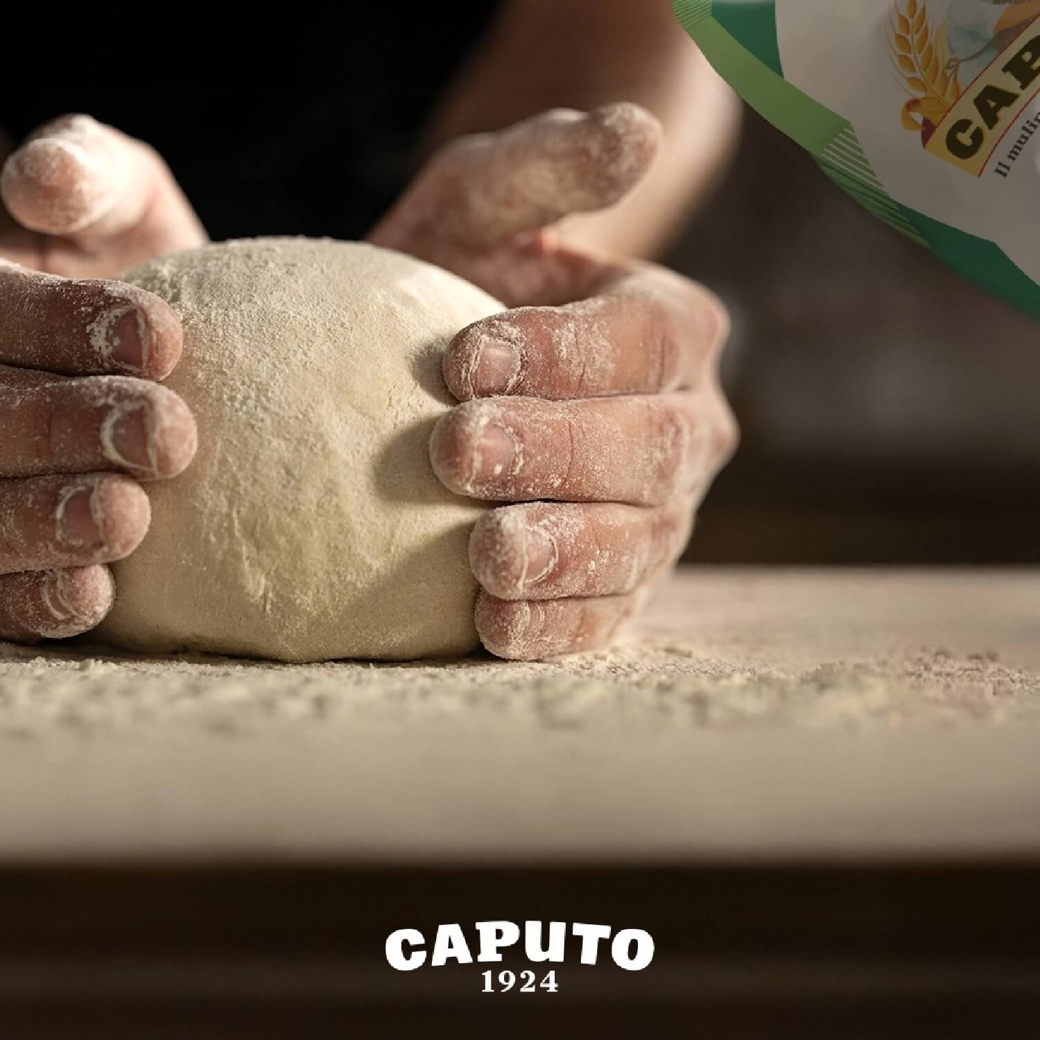 Caputo Criscito Moedersgist Zuurdesem 1 Kg