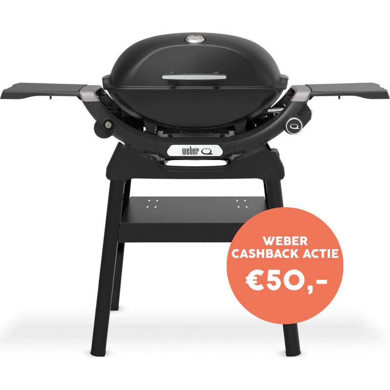 Weber Q 2200N Met Stand