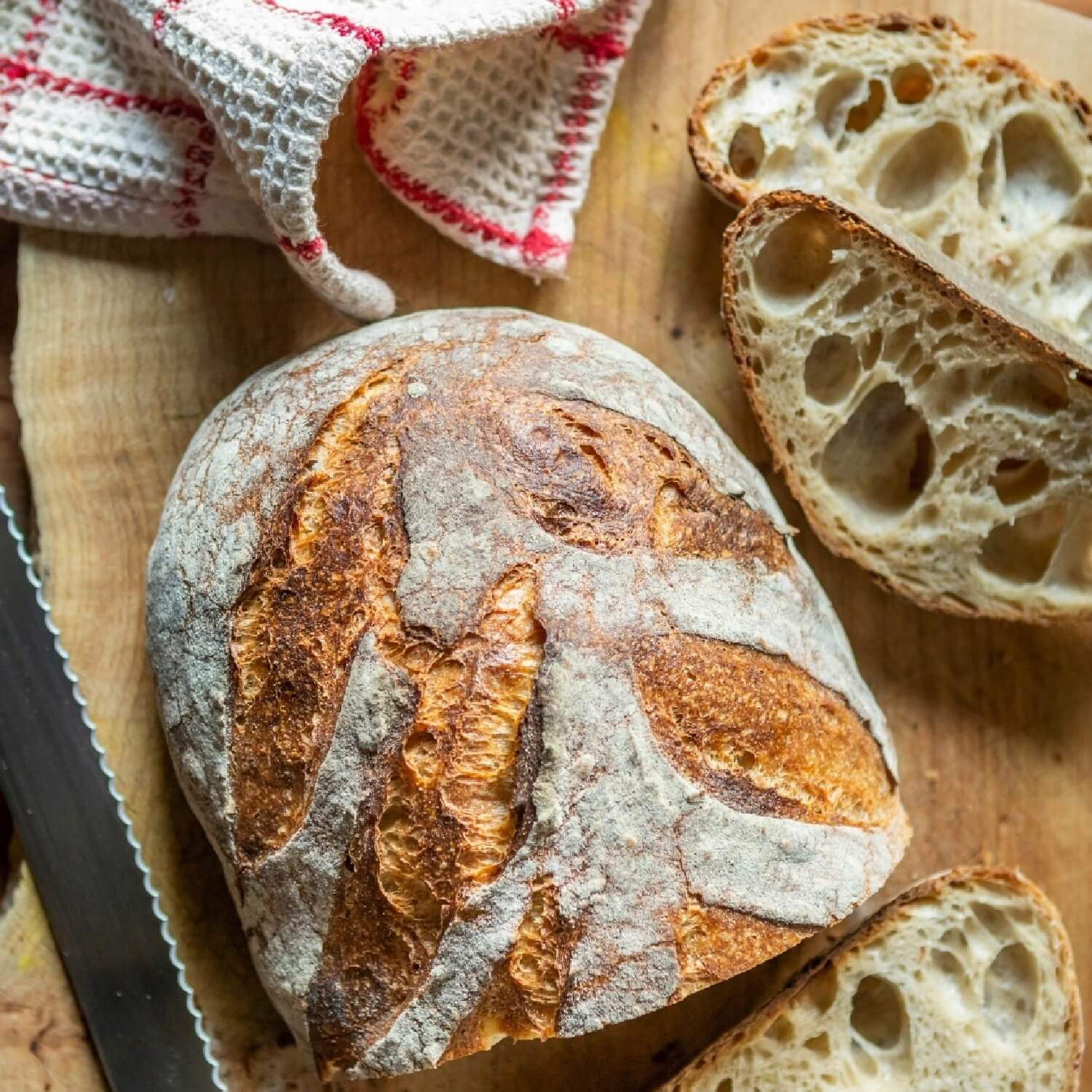 Caputo Criscito Moedersgist Zuurdesem 1 Kg