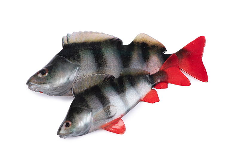 Fox rage Natural Perch Fillet 6cm