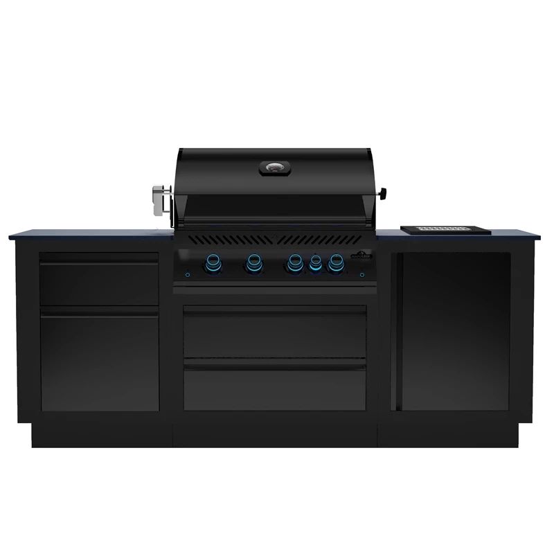 Napoleon Oasis Compact 105 Mat Zwart Met Big32-1 En Inbouw Sizzle Zone