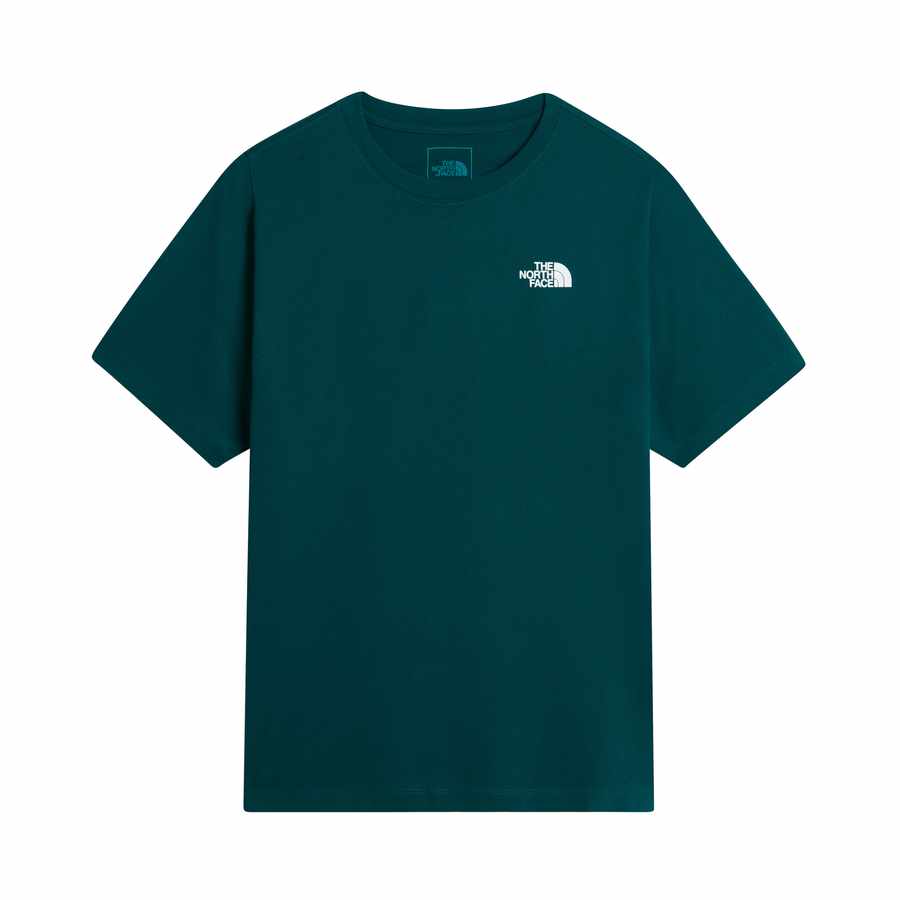 The North Face Evo Box Nse Reg SS Heren