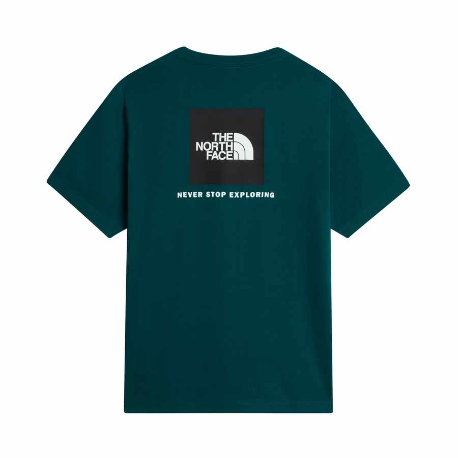 The North Face Evo Box Nse Reg SS Heren