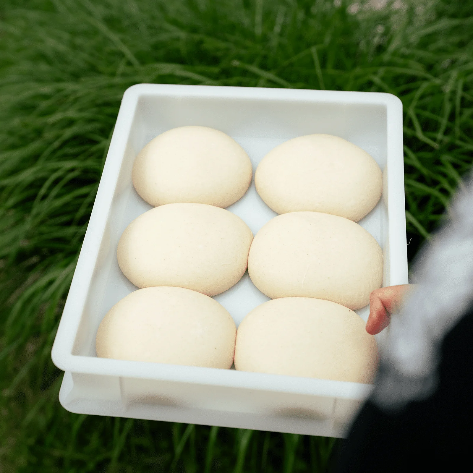 Genus Dei Deegkrat 30x40x10 CM