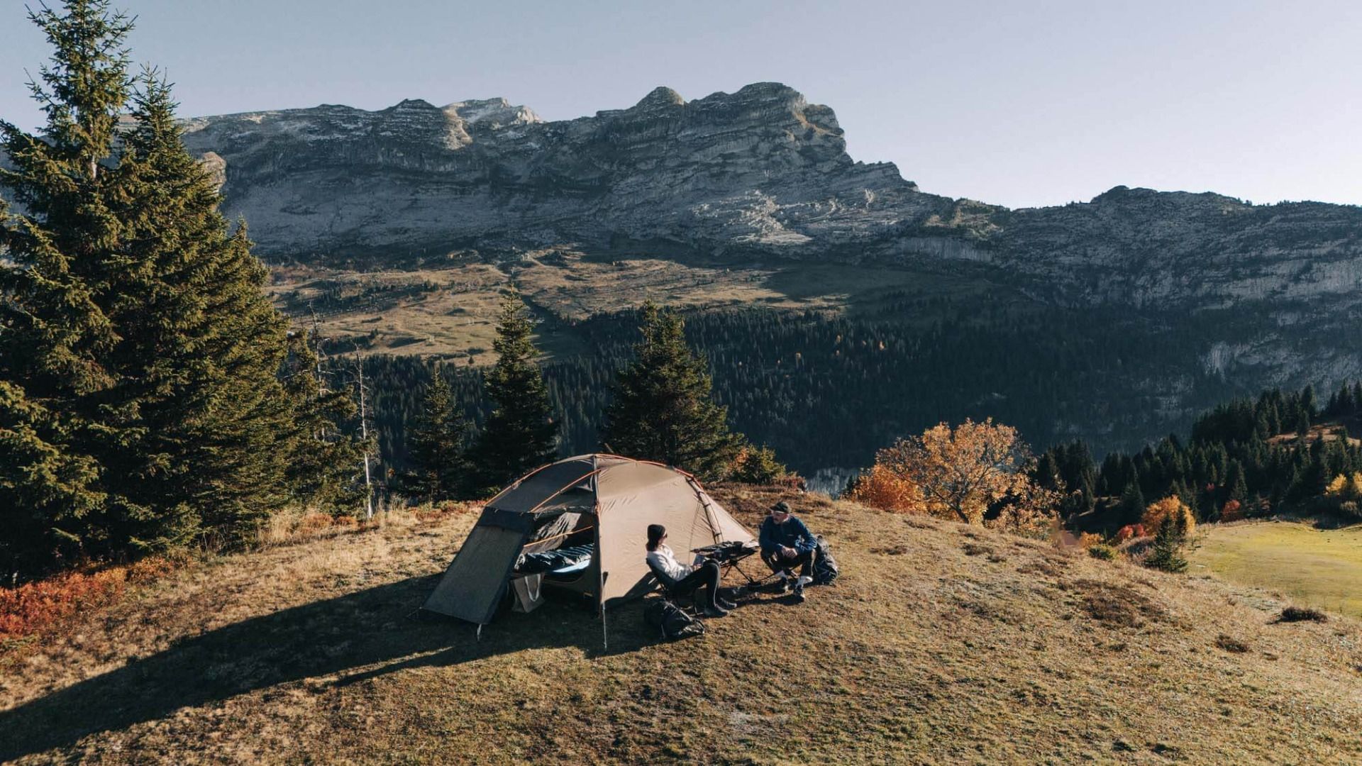 Kampa Mossborn 02 Mushroom