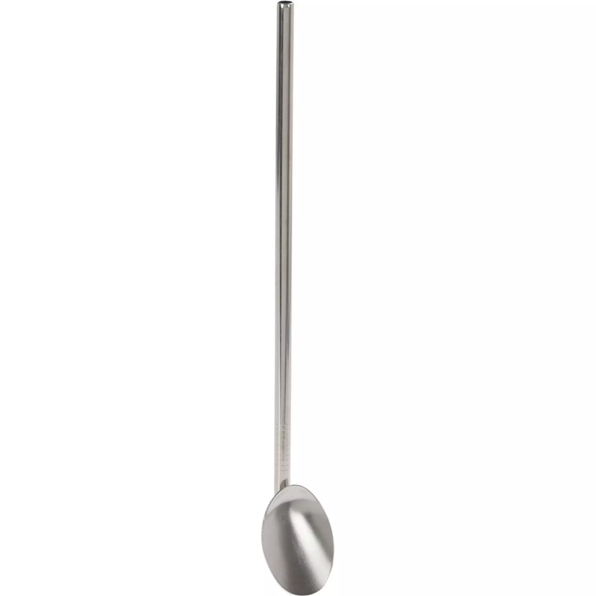 Rietjes RVS Met Lepel Set 5 Stuks Inclusief Borstel