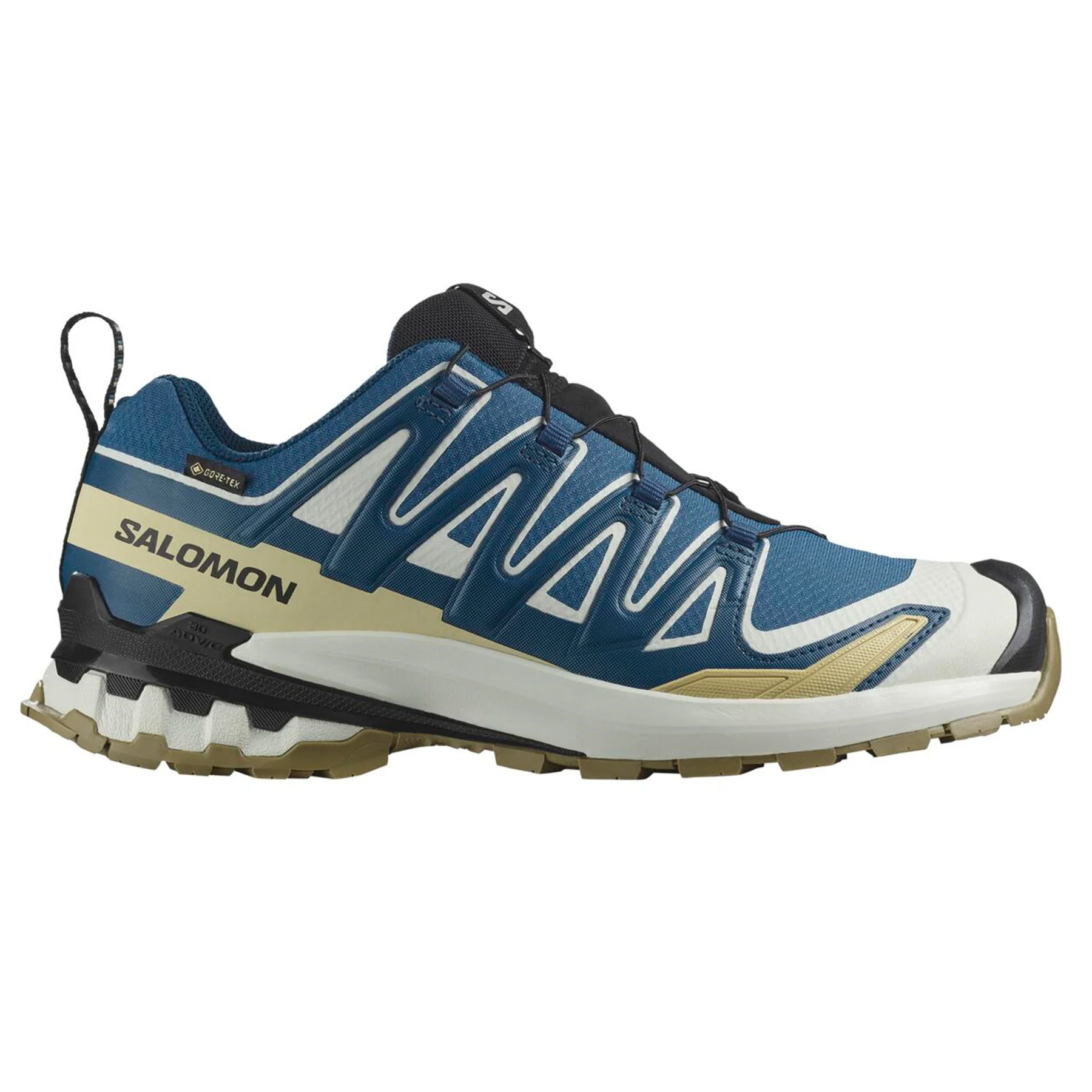 Salomon Xa Pro 3D GTX Heren