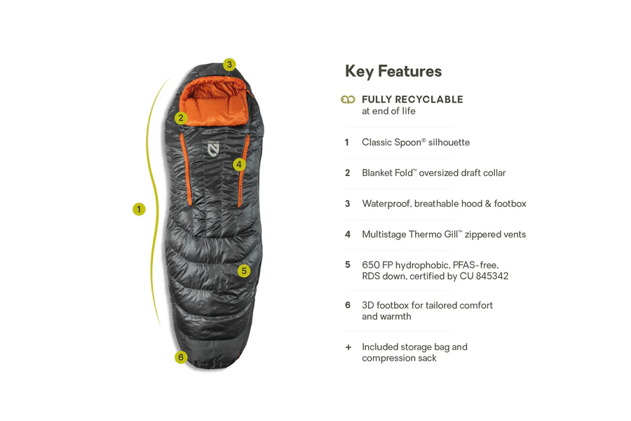 Nemo Disco Mens 30 Long Endless Promise - Chimera