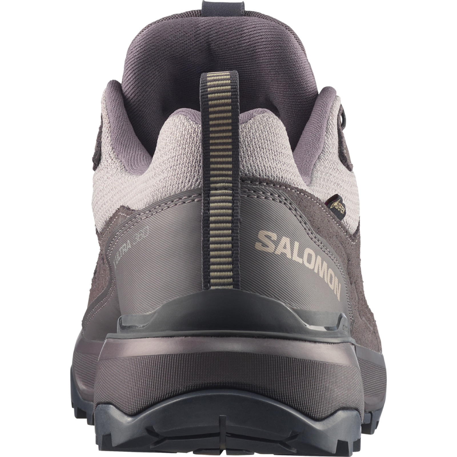 Salomon X Ultra 360 ltr GTX Heren